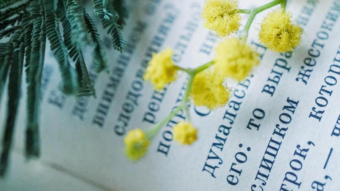 Тест: Какая литературная форма вам ближе всего по натуре?  (Психология)