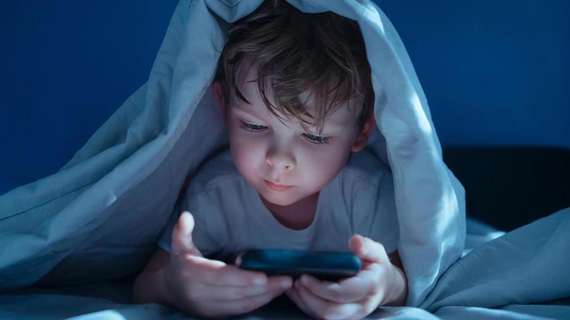 Игра «Тока Бока» (Toca Boca): в чем суть игры и опасна ли она для детей (Психология) Игра «Тока Бока» (Toca Boca): в чем суть игры и опасна ли она для детей (Психология)